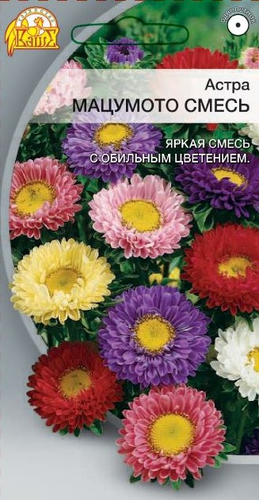Семена Астра Мацумото смесь цв.п    0,2 гр, фотография