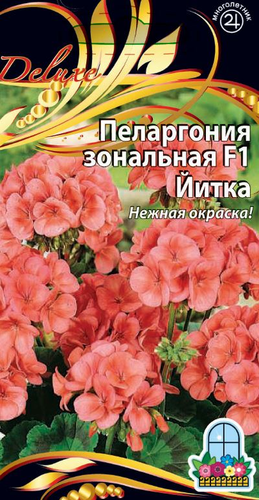 Семена Пеларгония зональная F1 Йитка цв.п  5шт, вид