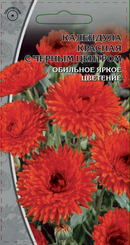 Семена Календула Красная с черным центром 0,2 гр, фото