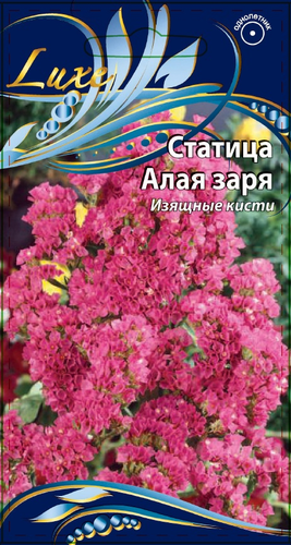 Семена Статица Алая заря 0,2 г, крупный план