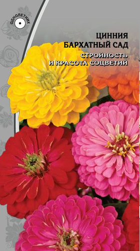 Семена Цинния Бархатный сад    0,5 гр, картинка