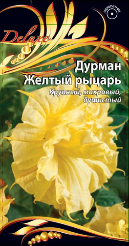 Семена Дурман Желтый рыцарь 4 шт, изображение