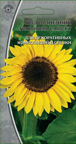 Семена Подсолнечник Глориоза Сансет  1 гр, вид