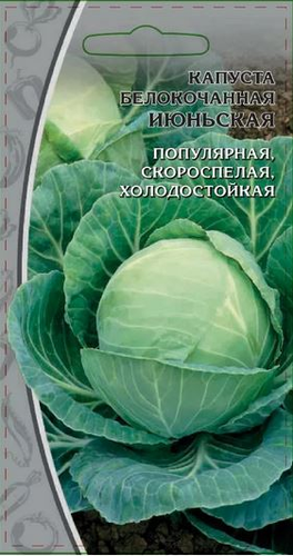 Семена Капуста  б/к  Июньская 1 г, изображение