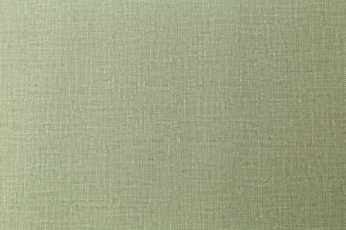 Обои HomeColor HC72561-17 виниловые на флизелиновой основе зелёные 1.06 x 10.05 м, крупный план