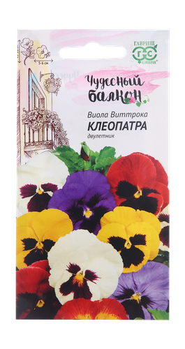 Виола Клеопатра, Виттрока смесь (Анютины глазки) 0,05 г серия Чудесный балкон, вид