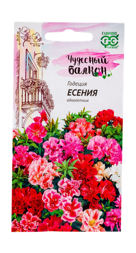 Годеция Есения низкая смесь 0,05 г серия Чудесный балкон, фотография
