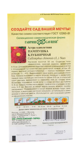 Астра Пампушка клубничная, однолетняя (помпонная) 0,3 г, вид