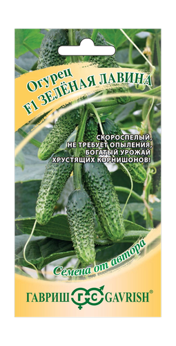 Огурец Зеленая лавина 10 шт. автор., детальное фото
