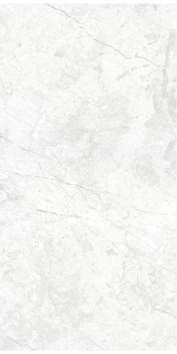 Керамогранит ARCADIA CERAMICA Маркус Бьянко светло-серый матовый 60x120 см 1,44 м2, крупный план