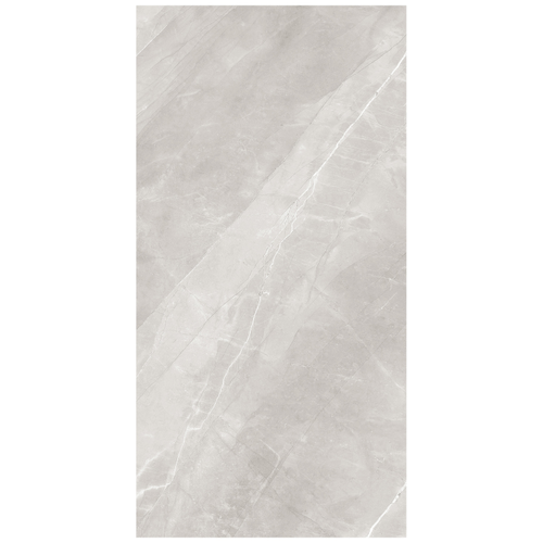 Керамогранит ARCADIA CERAMICA Армани Сильвер серый матовый 60x120 см 1,44 м2, крупный план