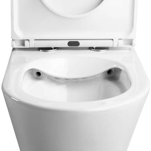 Унитаз WATERSENSE напольный безободковый с быстросъемным сиденьем микролифт Ba, крупный план