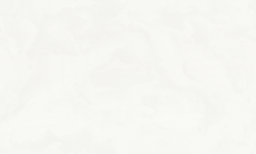 Обои флизелиновые EURO DECOR Euro Decor Floravento 7325-00 белые, фото