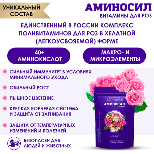 Удобрение АМИНОСИЛ Гранулы д/роз 300гр, изображение