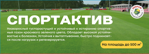 Семена ЭКОРАФ газонной травы СпортСтандарт, вид