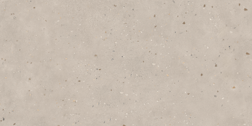 Керамогранит BUONO Ceramic THS4802M 600mmх1200mm, фотография