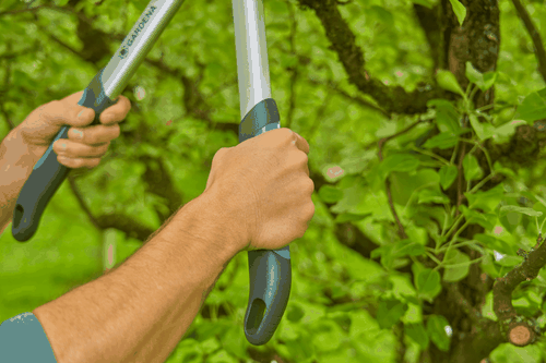 Сучкорез GARDENA EasyCut S, детальное фото