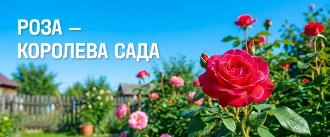 Освещение для вашего дома