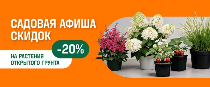 Садовая афиша скидок