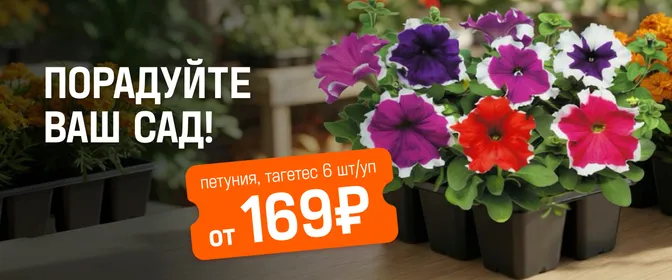 Саженцы и рассада для цветущего сада