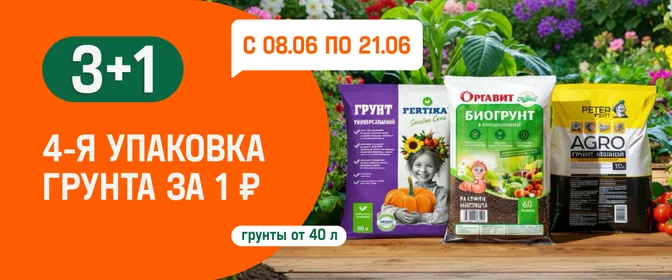 Грунты 3+1