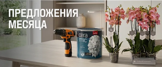 Лучшее предложение месяца
