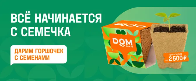 Всё начинается с семечка