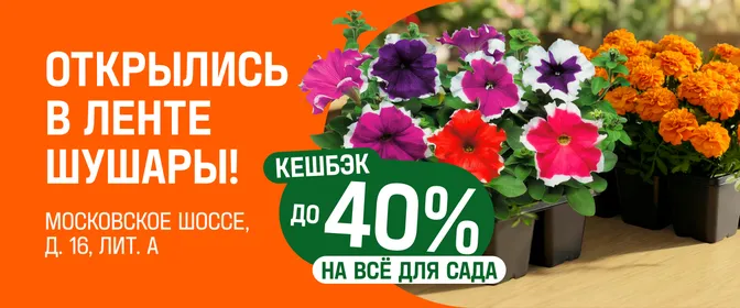 Открытие Шушары