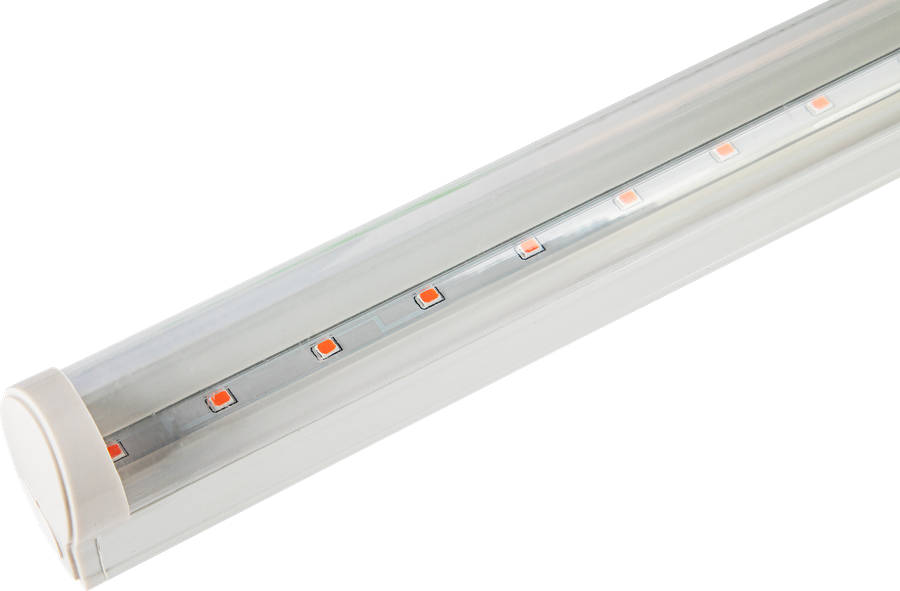 Светильник для растений JAZZWAY светодиодный PPG T8i-900 Agro 12W IP20, превью