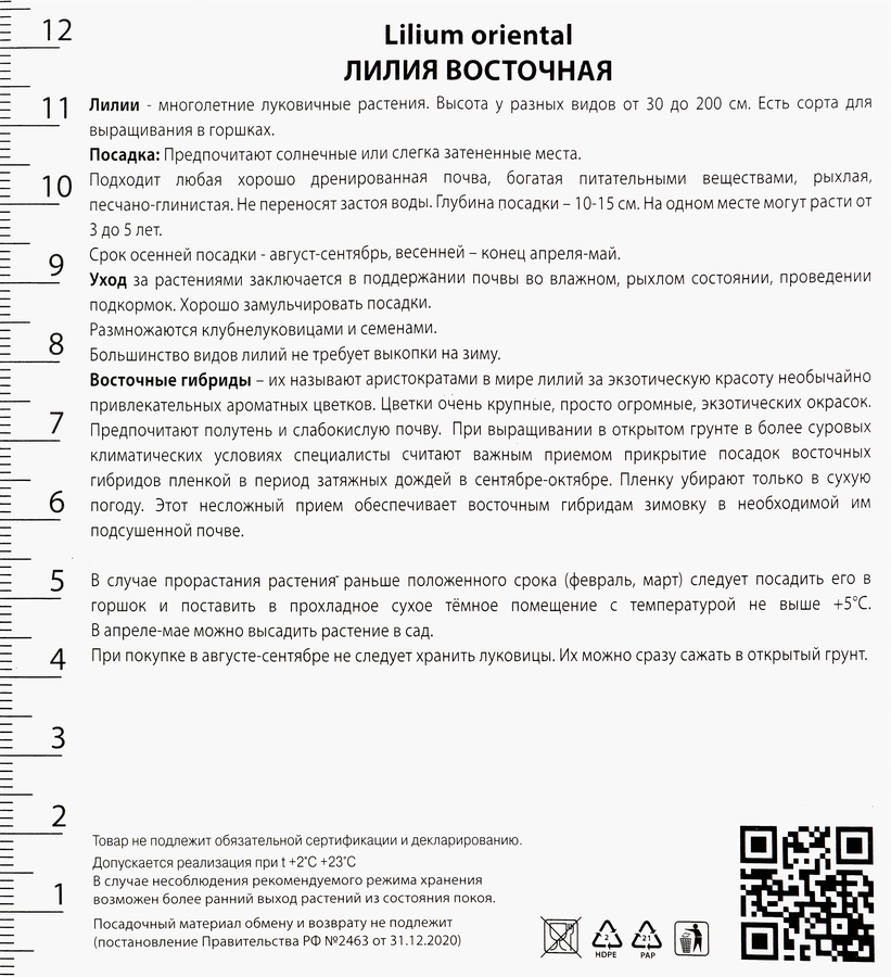 Луковица ПОИСК Лилия, в капере, в ассортименте, превью