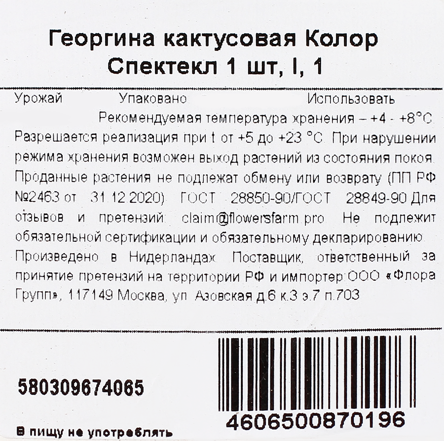 Корневище MY GARDEN Георгина кактусовая Колор Спектекл, предпросмотр