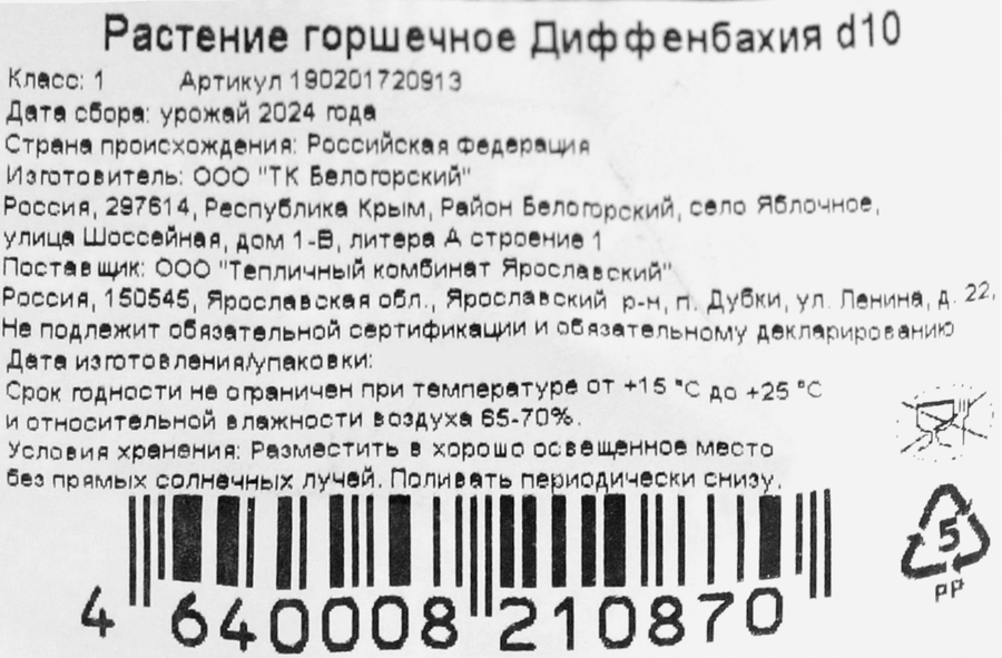 Растение горшечное Диффенбахия d=10см, превью