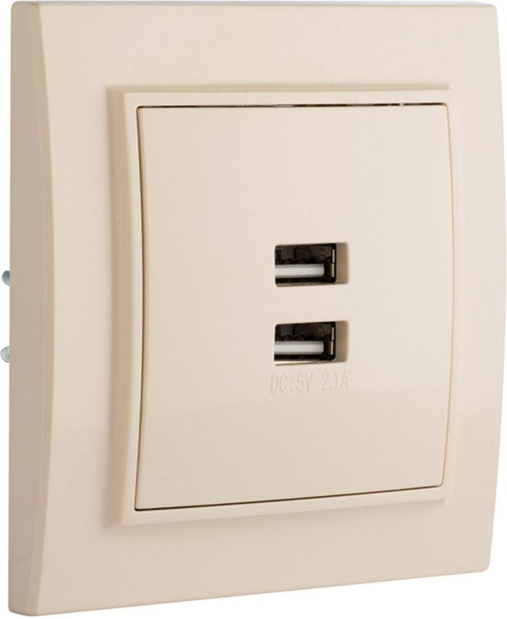 Розетка USB Type A 2 поста EKF Минск бежевый, превью