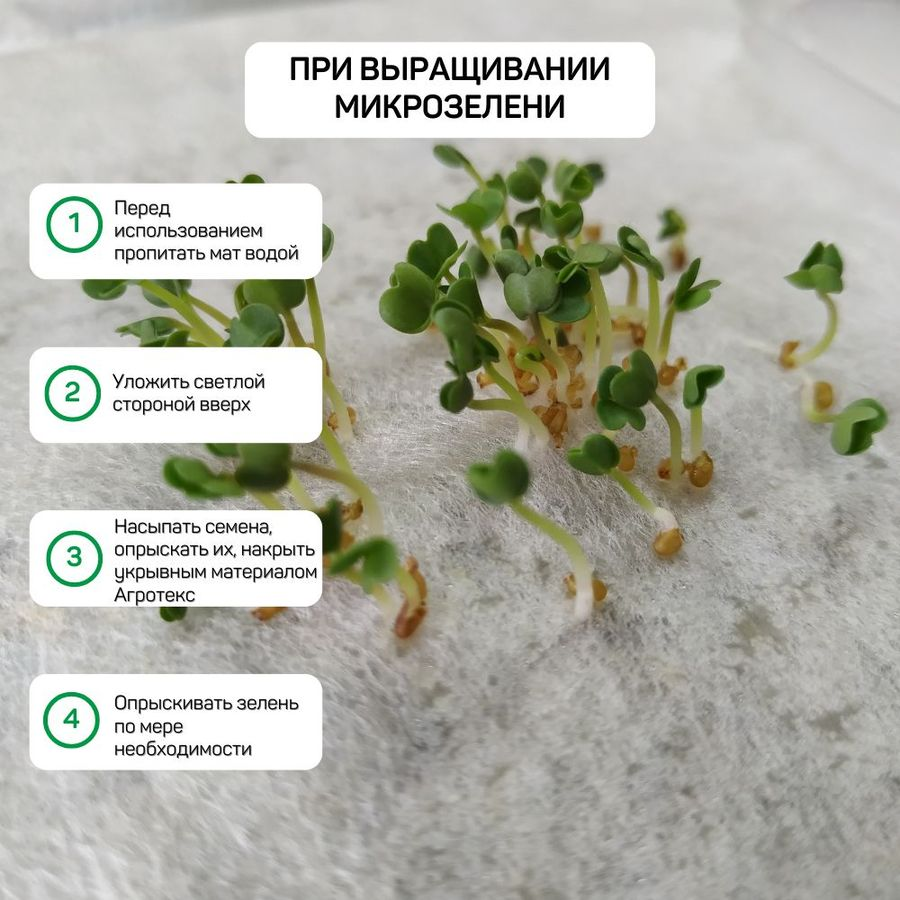 Мат для микрозелени 30х50 см, превью