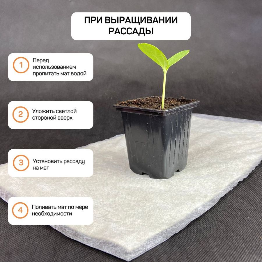 Мат для микрозелени 30х50 см, предпросмотр