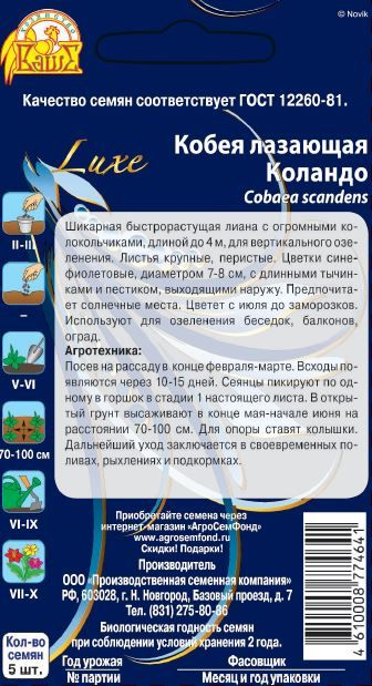 Семена Кобея лазающая Коландо 5 шт, предпросмотр