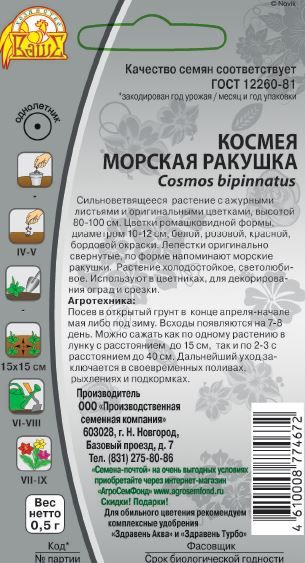 Семена Космея Морская ракушка 0,5 гр, превью