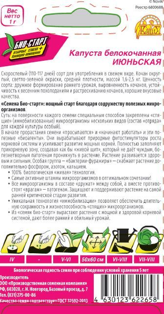 Семена КАПУСТА БК ИЮНЬСКАЯ БИО 1 ГР, превью