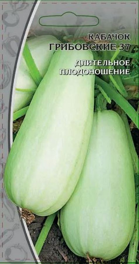 Кабачок Грибовские 37, 1г, предпросмотр