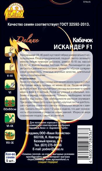 Семена Кабачка Искандер 5 шт, предпросмотр