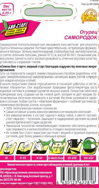 Семена ОГУРЕЦ САМОРОДОК БИО 0,25 ГР, предпросмотр