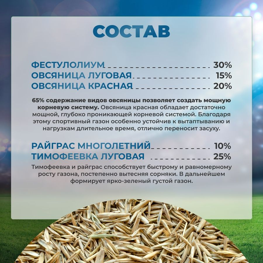 Газонная трава Спортивная Сила Суздаля 5 кг, превью