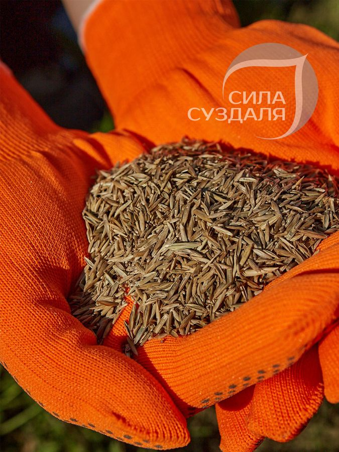Газон Premium  Сила Суздаля 500 г, предпросмотр