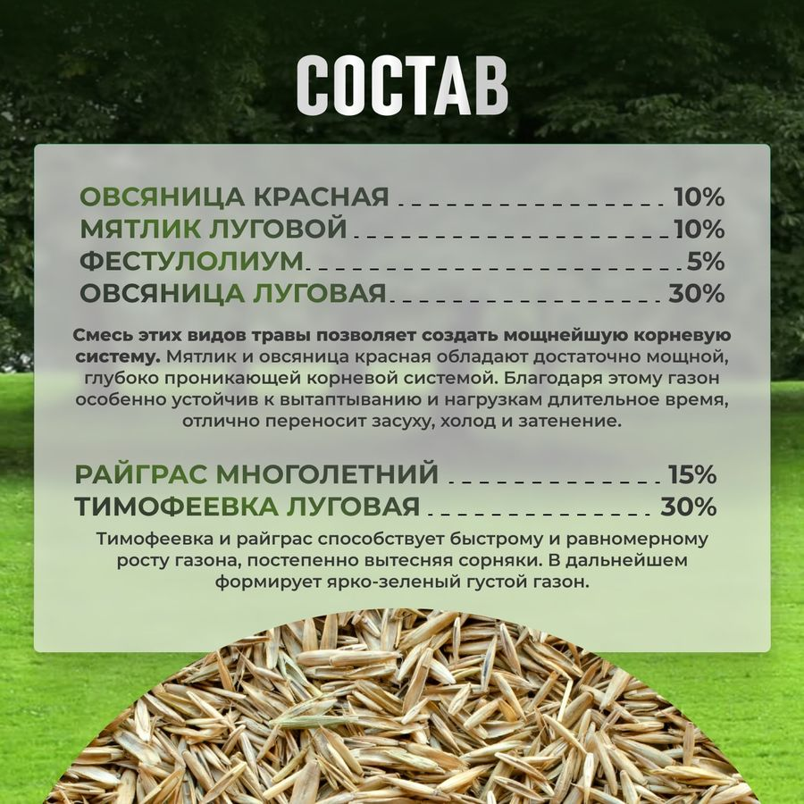 Газон Premium Сила Суздаля 3 кг, предпросмотр