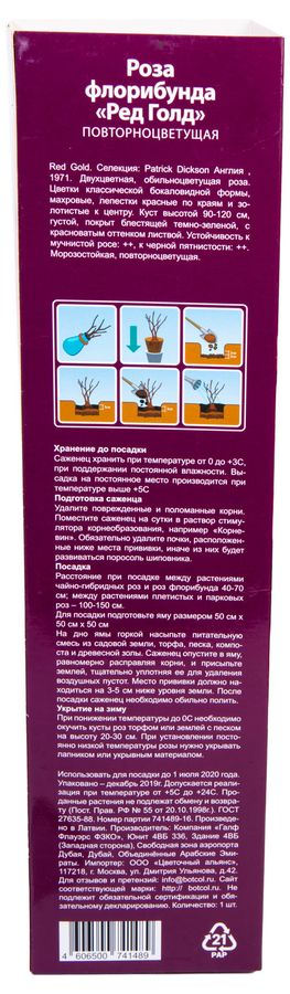 Растение Роза Флорибунда Botanic Collection Стромболи 1 шт в ассортименте, превью