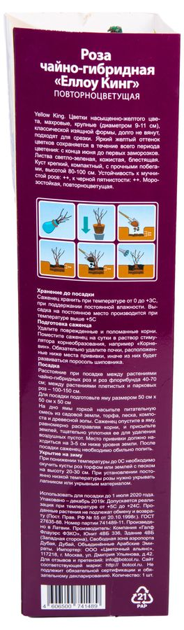 Растение Роза Флорибунда Botanic Collection Стромболи 1 шт в ассортименте, предпросмотр