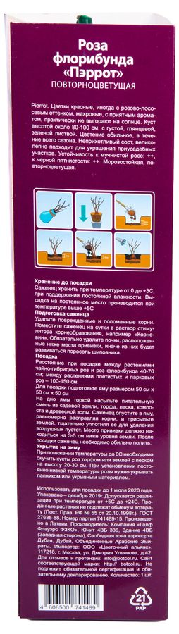 Растение Роза Флорибунда Botanic Collection Стромболи 1 шт в ассортименте, превью