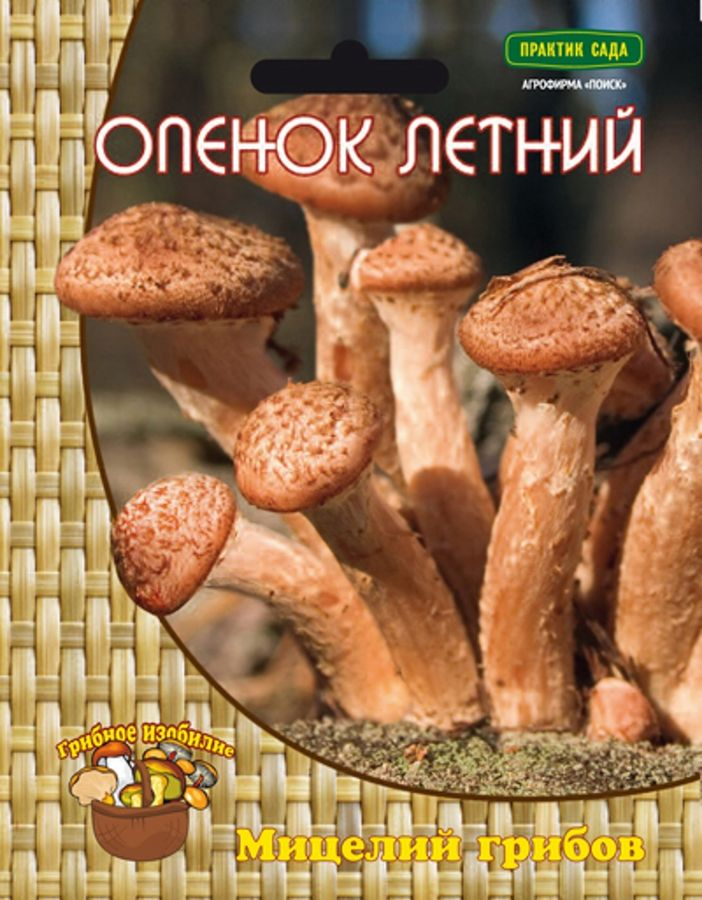 Мицелий грибов ПОИСК в ассортименте 300 г, превью