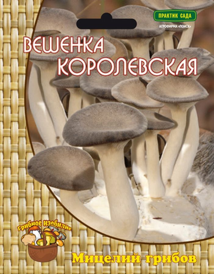 Мицелий грибов ПОИСК в ассортименте 300 г, предпросмотр