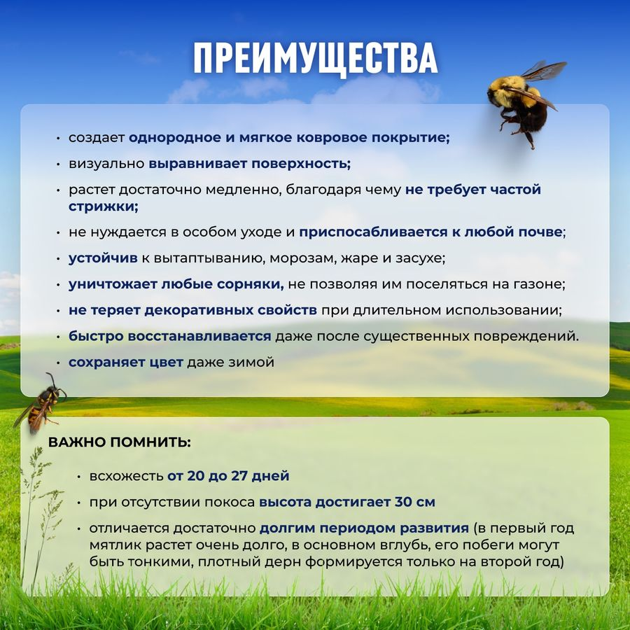 Семена мятлика Сила Суздаля 300 г, предпросмотр